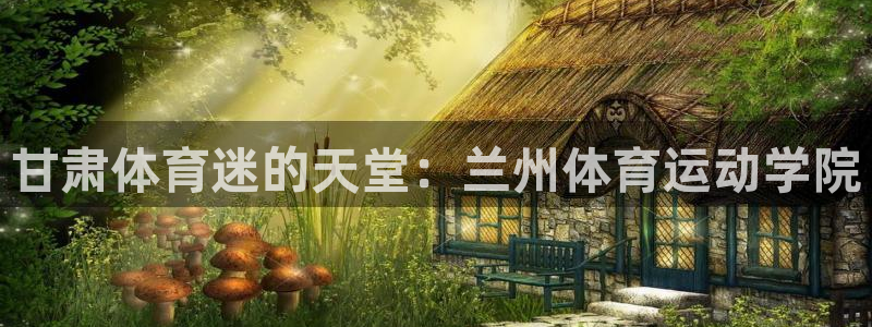 球客岛